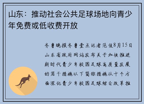 山东：推动社会公共足球场地向青少年免费或低收费开放